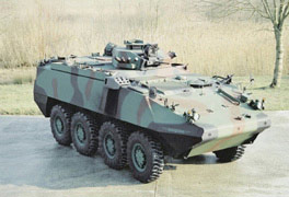 “鋸脂鯉”裝甲車懸掛系統(tǒng)與武器配備(組圖)