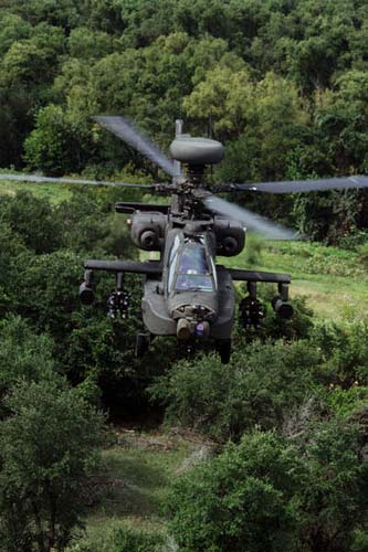 美國陸軍今年訂購32架AH-64D攻擊直升機(jī)(圖)