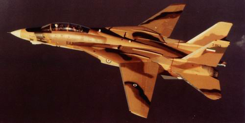 伊朗空軍F-14戰(zhàn)機(jī)：波斯貓是否還有利爪(圖)