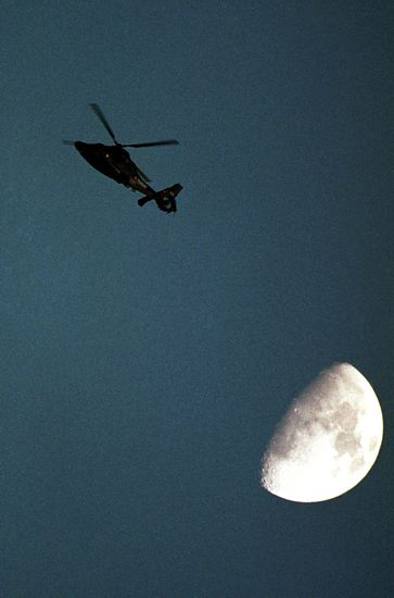 13297321_308880.jpg