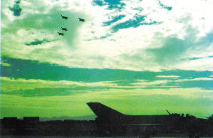 13396412_313804.jpg