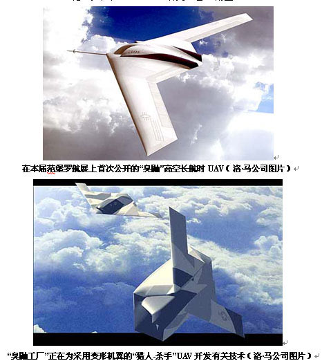 洛·馬透露其偵察型與攻擊型無人機項目(圖)