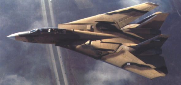 圖文：伊朗空軍F-14A雄貓戰(zhàn)斗機(jī)空中巡航